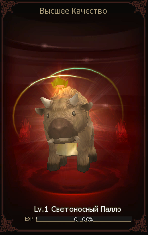 g2.png